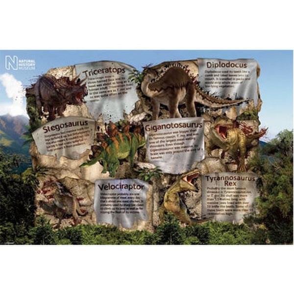 Natural History Museum Dinosaur Facts - 24 x 36 Inches Maxi Poster