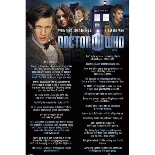 Doctor Who Everything I Know - 24 x 36 Inches Maxi Poster