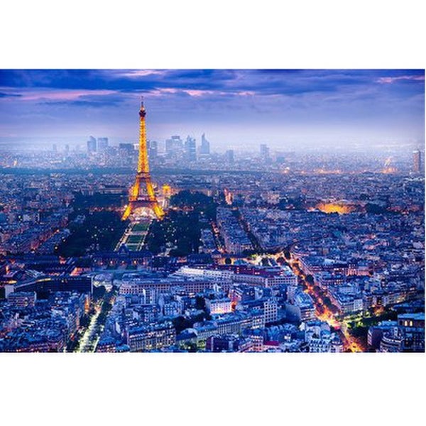 View Over Paris - 24 x 36 Inches Maxi Poster