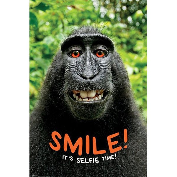 Smile Its Selfie Time Monkey - 24 x 36 Inches Maxi Poster