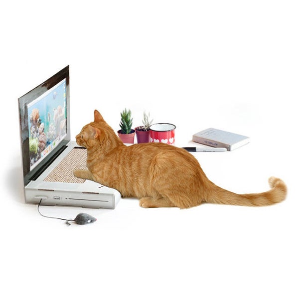 Cat Laptop Scratch Pad