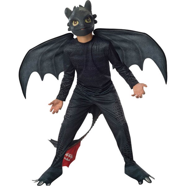 Dreamworks How to Train Your Dragon Boys' Toothless Fancy Dress