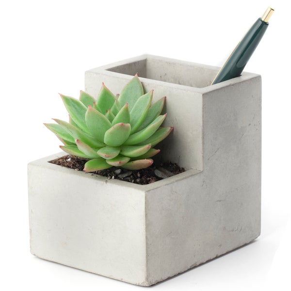 Concrete Desktop Planter and Pen Holder - Small