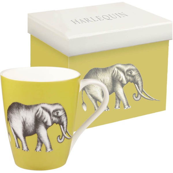 Harlequin Savanna Aspen Mug Gift Box - Gooseberry