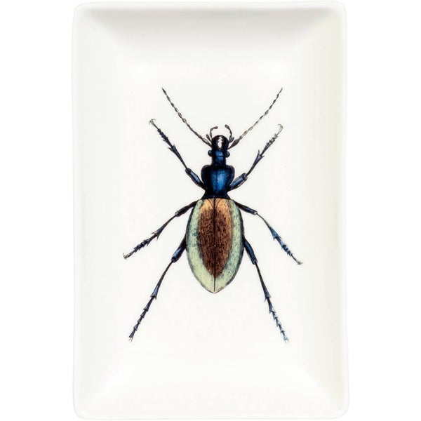 Curios Trinket Print Tray - Beetle