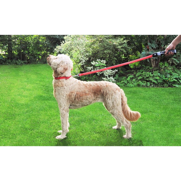 Star wars lightsaber dog leash deals