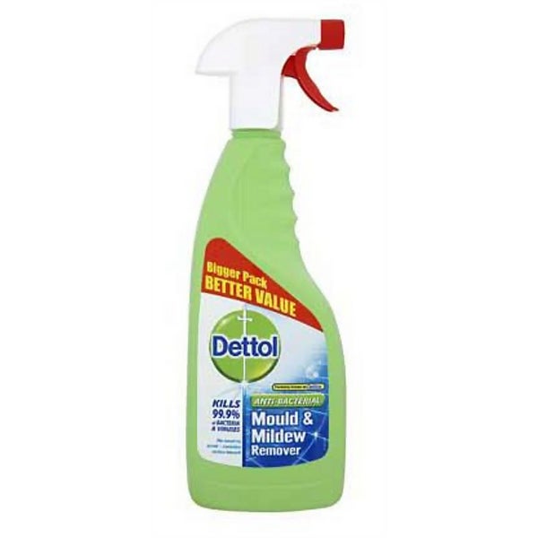 Dettol Mould and Mildew Remover 750ml Homebase