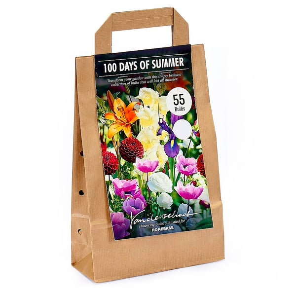 100 Days Collection Spring Bulbs Homebase