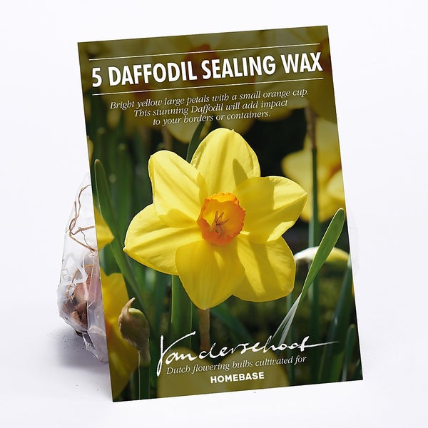 Offer Homebase Daffodil Sealing Wax Homebase
