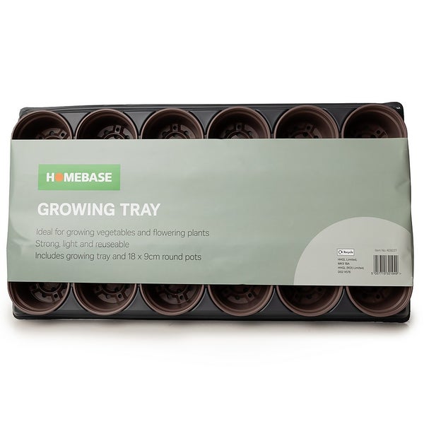 Growing Tray 18 x 9cm Pots Homebase
