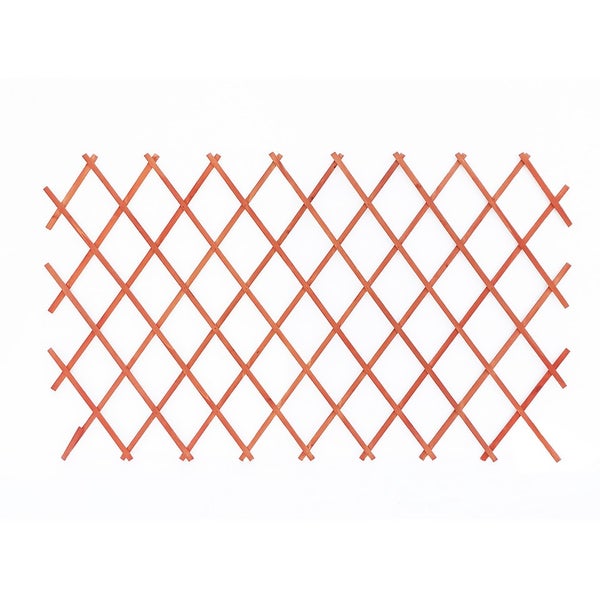 Sprout Garden Expanding Trellis 1.8m x 0.6m Homebase