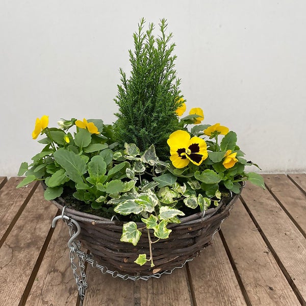 Autumn Hanging Basket Mixed 30cm Homebase