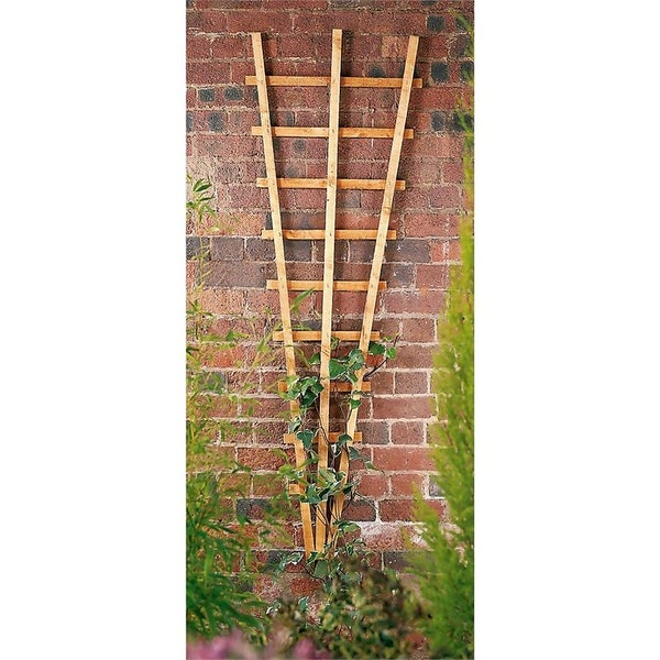 Forest Garden Fan Trellis Homebase