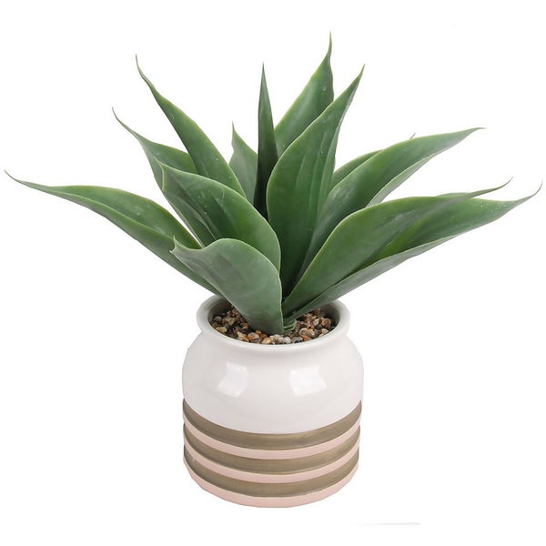 Artificial Aloe Vera in Striped Pot Homebase