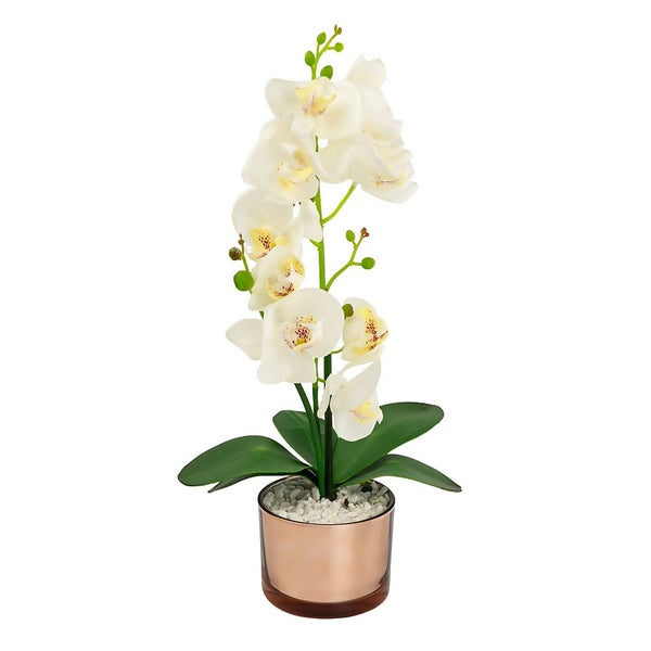 Large Real Touch Orchid Homebase