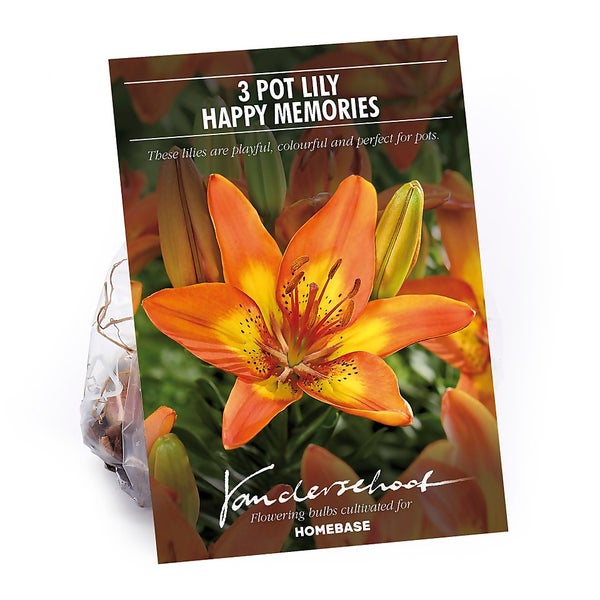 Pot Lily Happy Memories Flower Bulbs Homebase