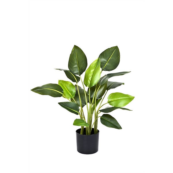 Artificial 78cm Strelitzia Potted Plant Homebase