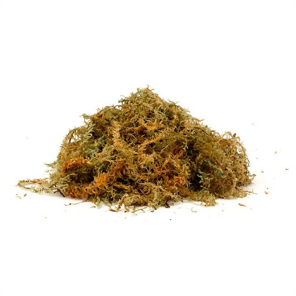 Offer Homebase Natural Moss New Zealand Sphagnum Moss