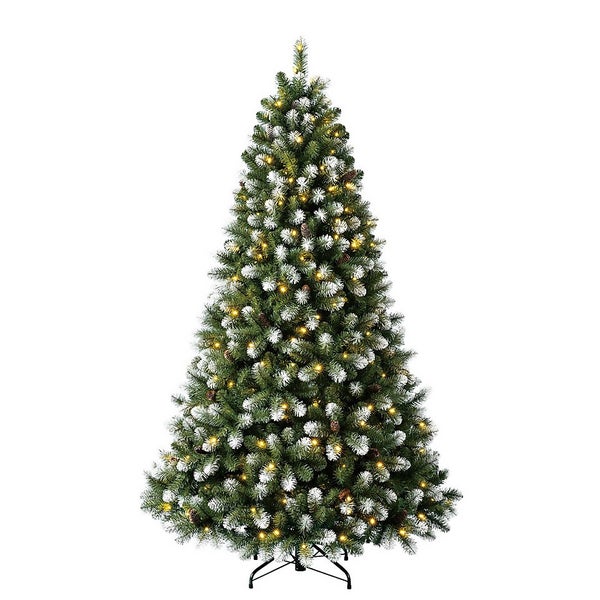 7ft Derry Spruce Prelit Premium Christmas Tree Homebase