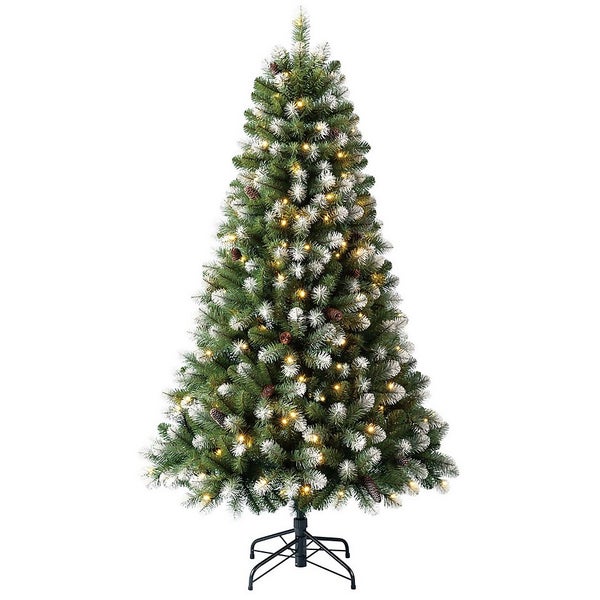 6ft Derry Spruce Prelit Premium Christmas Tree Homebase