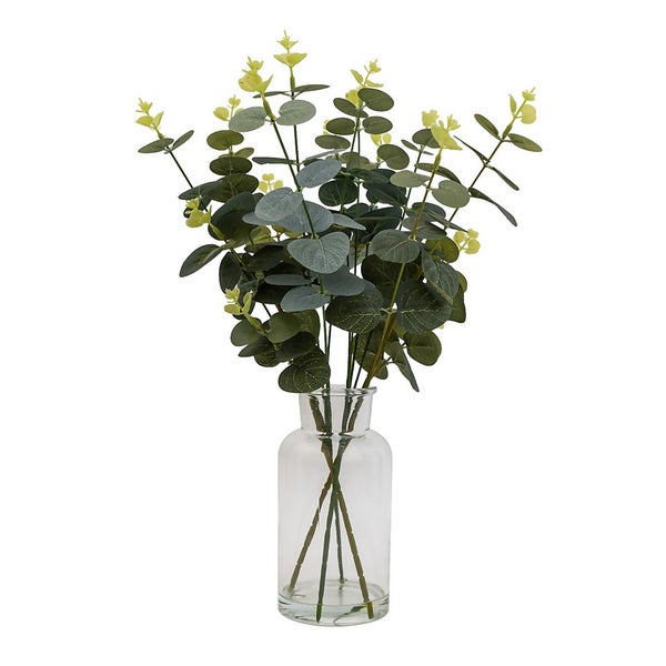 Eucalyptus in Glass Vase Homebase