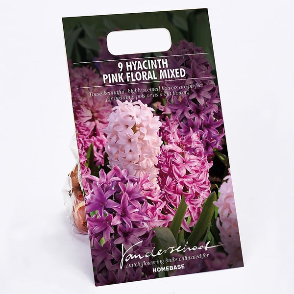 Offer Homebase Hyacinth Pink Floral Homebase