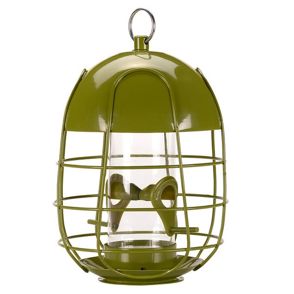 Chapelwood Acorn Squirrel Proof Seed Feeder for Wild Birds Homebase