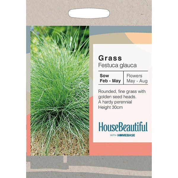 House Beautiful Grass Festuca glauca Seeds Homebase