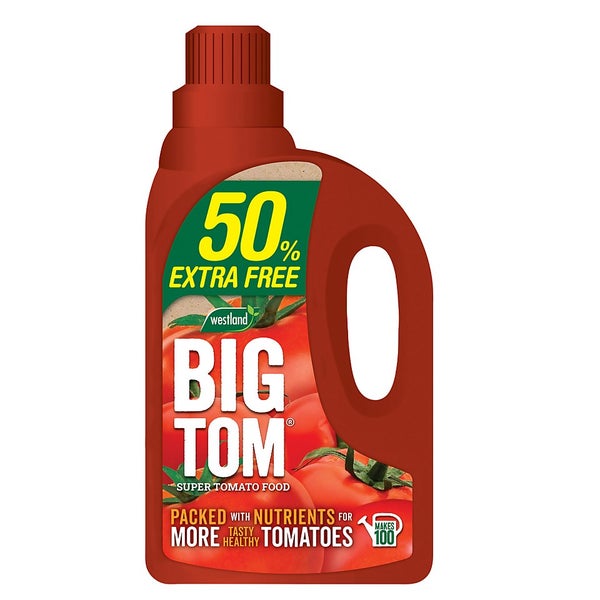 Westland Big Tom Concentrate Feed 1.25L + 50 Extra Free Homebase