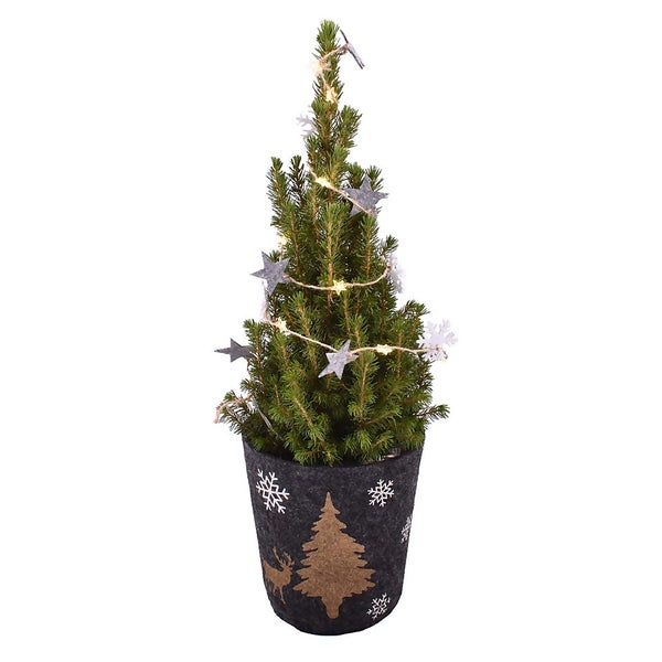 Decorated Real Christmas Tree with Lights 55cm Homebase