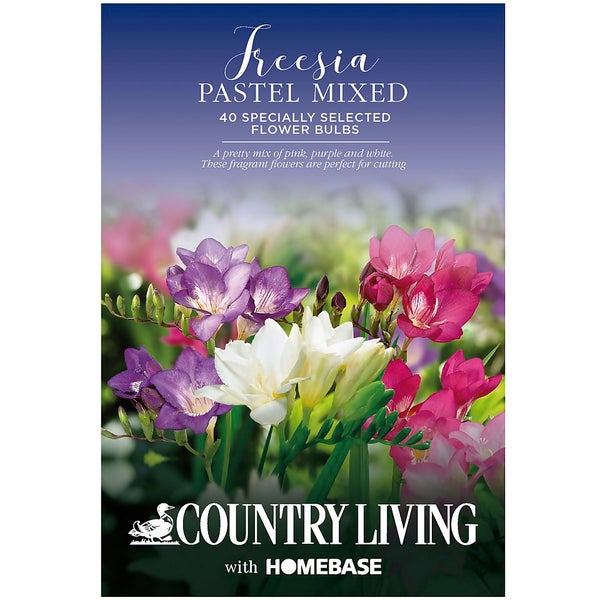 Freesia Pastel Mixed Flower Bulbs Homebase