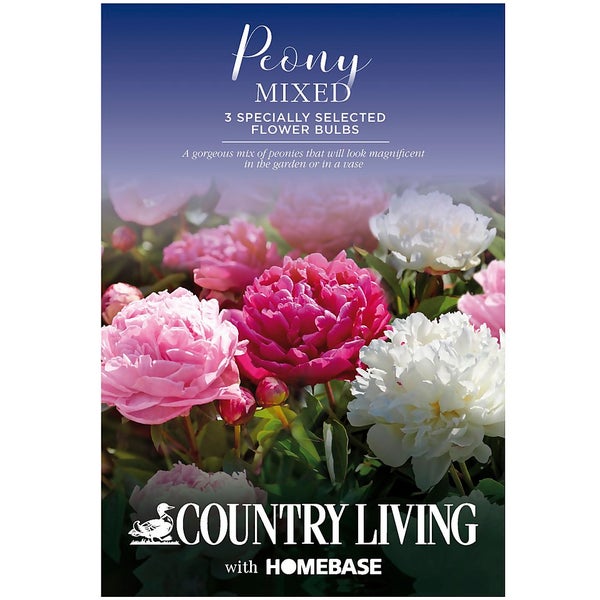Peony Mixed Flower Bulbs Homebase