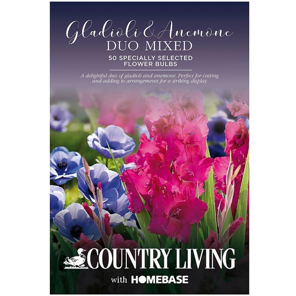 Gladioli & Anemone Duo Mixed Flower Bulbs Homebase