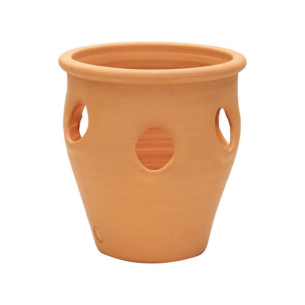 Herb Pot 20cm Homebase