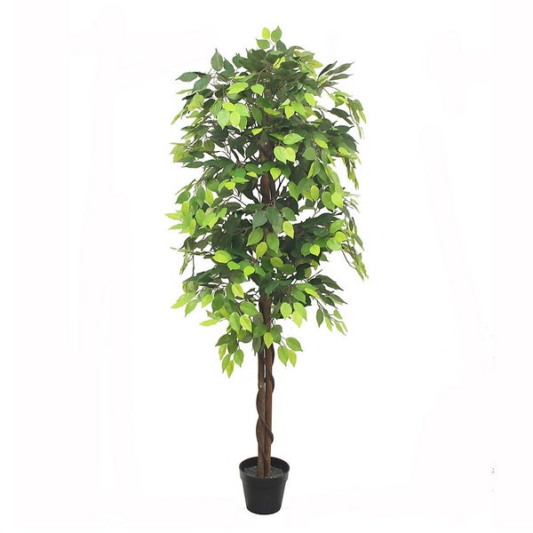 Artificial Ficus Tree 180cm Homebase