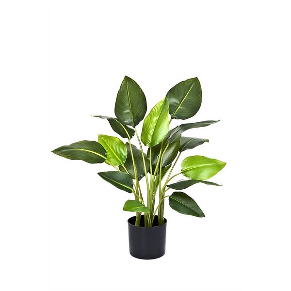 Artificial Strelitzia Potted Plant 78cm Homebase