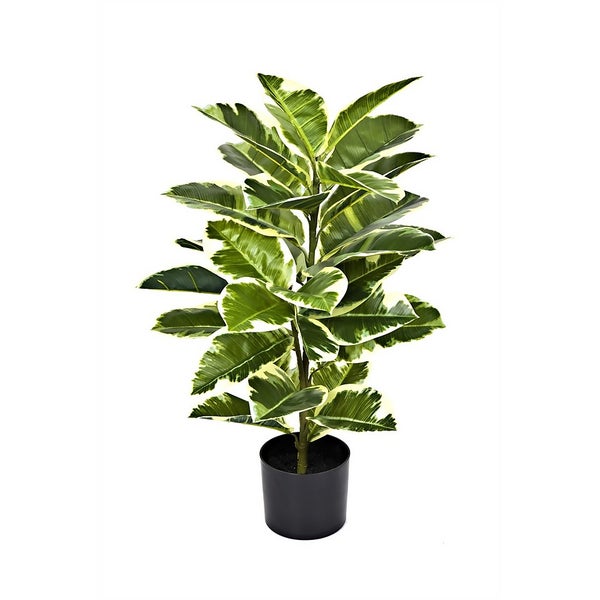 Artificial Rubber Plant in Pot 75cm Homebase