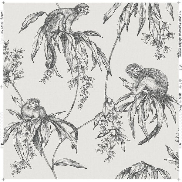 Superfresco Easy Saimiri Anthracite Monkey Paste the Wall Wallpaper