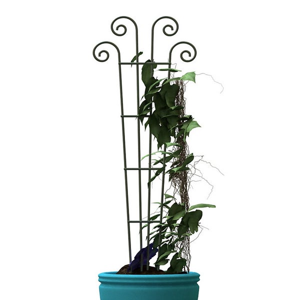 Wave Pot Trellis Green Homebase