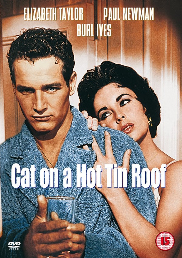 Cat On A Hot Tin Roof