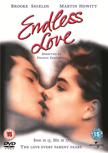 Endless Love DVD Zavvi UK