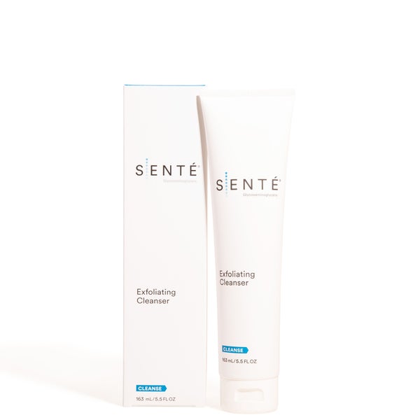 sente invisible shield full physical