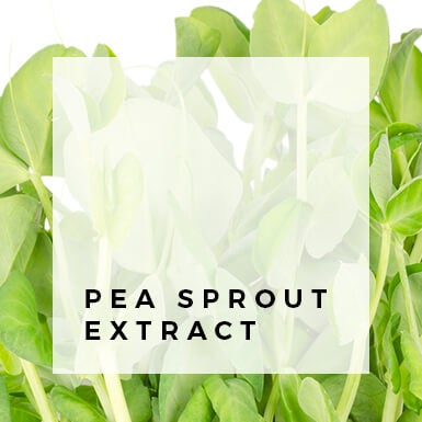 Pea Sprout Extract