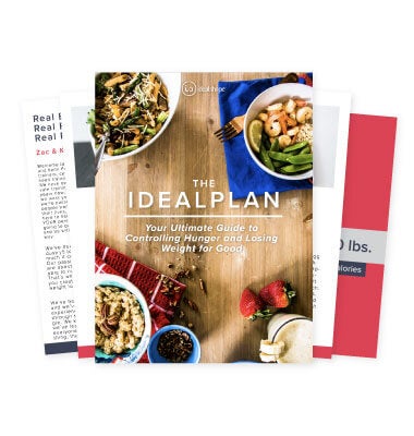 IdealPlan eBook