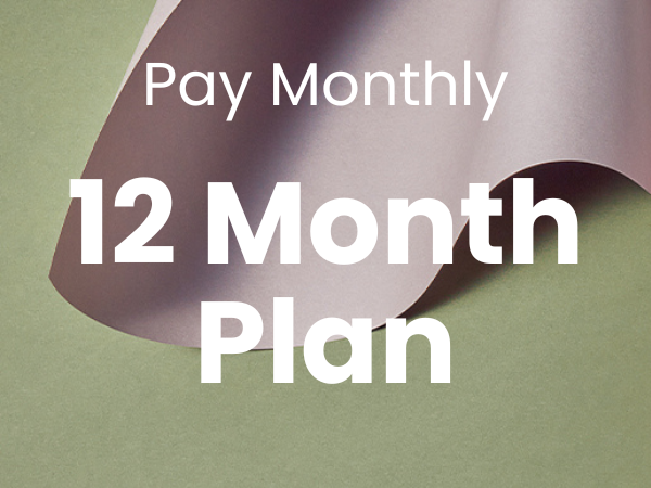 12 month plan