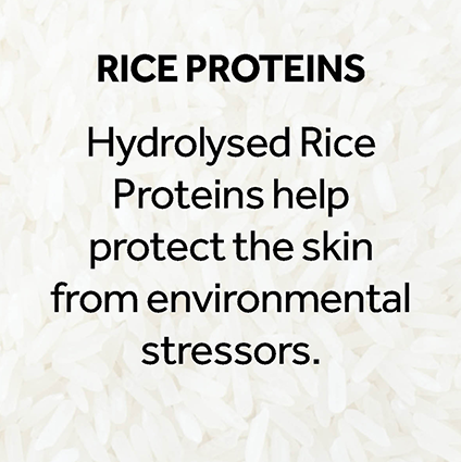 Rice Proteins. Hydrolysed Rice Proteins help protect the skin from environmental stressors. Explore the Future Renew range