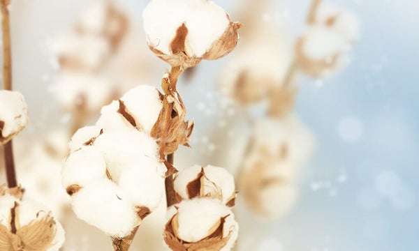Cotton buds