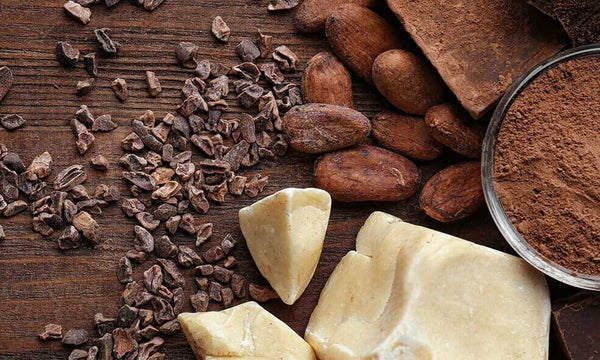 Blocks of cocoa butter next to cocoa beans