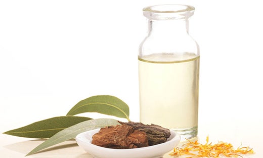 Willow Bark on a plate next to a bottle of oil