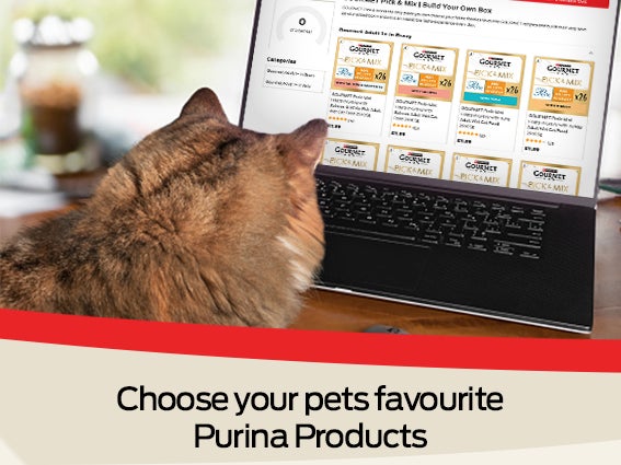 Cat watching a laptop and at the bottom a text about choosing Purina products for your pet